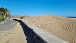 GC-Paseo Costa Canaria - Dunas 2023-044.jpg